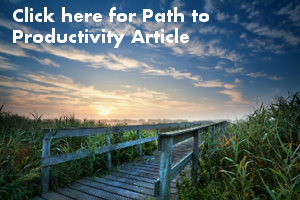Path to Productivity