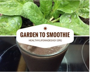 garden to smoothie