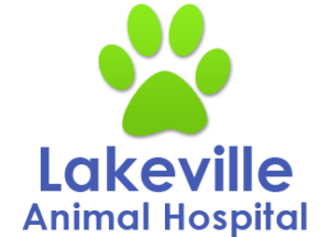 Lakeville Animal Hospital