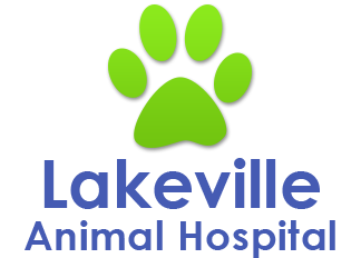 Lakeville Animal Hospital