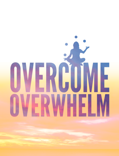 Overcome Overwhelm: Get Clients, Add Leverage & Increase Profits Book Cover